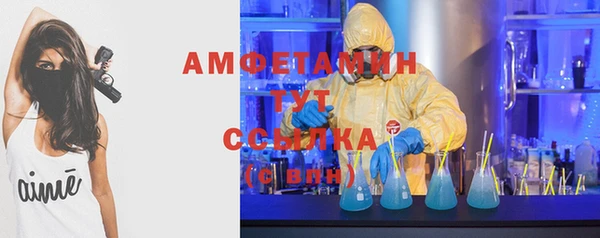 спиды Новозыбков