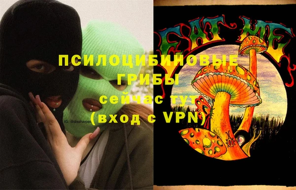гидропоника Новодвинск
