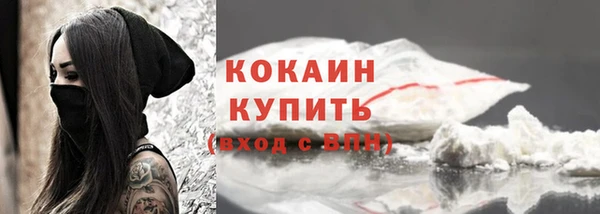 спиды Новозыбков