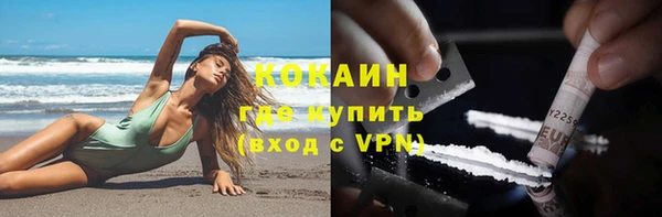 спиды Новозыбков