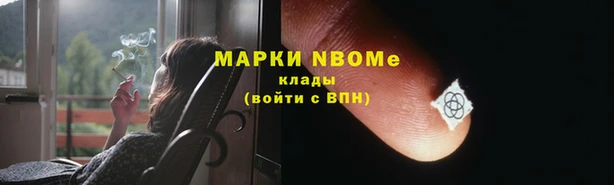 спиды Новозыбков
