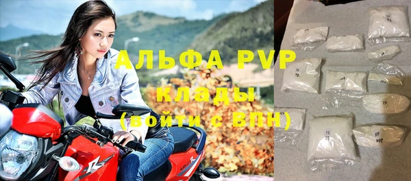 спиды Новозыбков