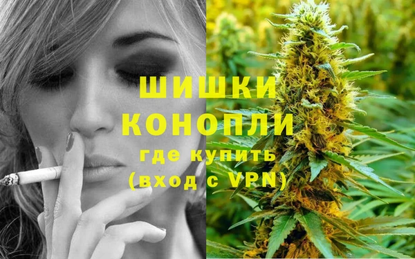 гидропоника Новодвинск