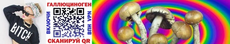 Псилоцибиновые грибы Cubensis  продажа наркотиков  Кохма 