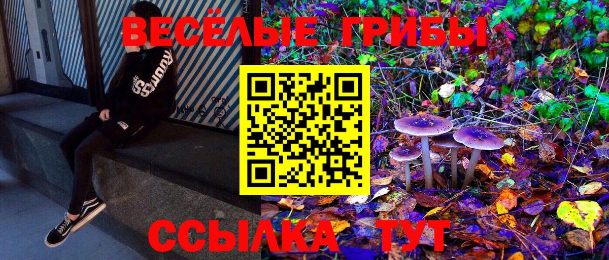Кохма  Псилоцибиновые грибы Psilocybine cubensis  Галлюциногенные грибы прущие грибы  Вход с VPN 